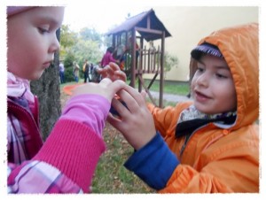 tokfesztival4